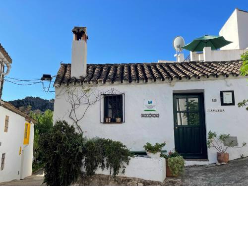 Casa Tavizna
