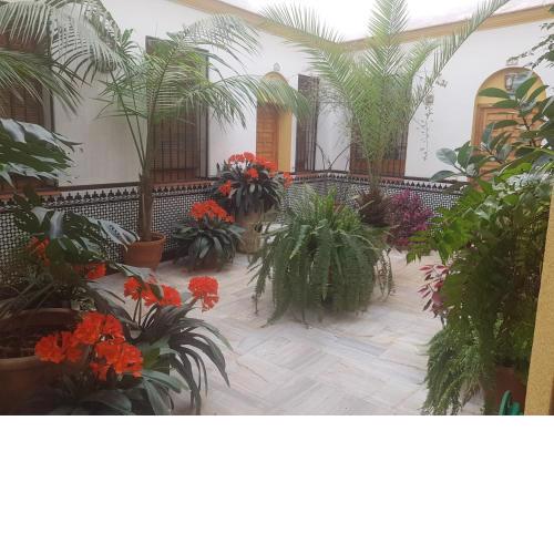 Casa Típica Cordobesa