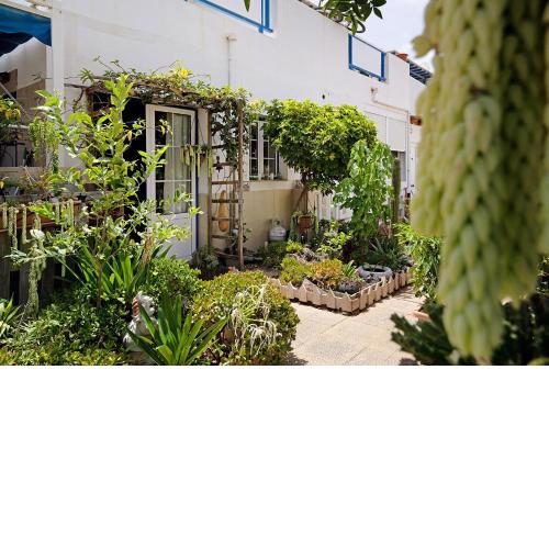 Casa tuna