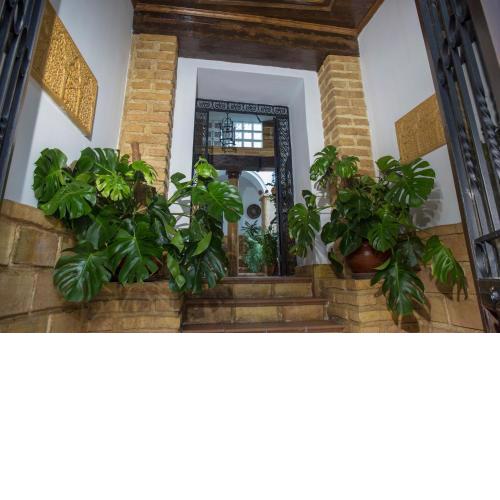 Casa Turística Patio Cordobés - Parking en la Judería