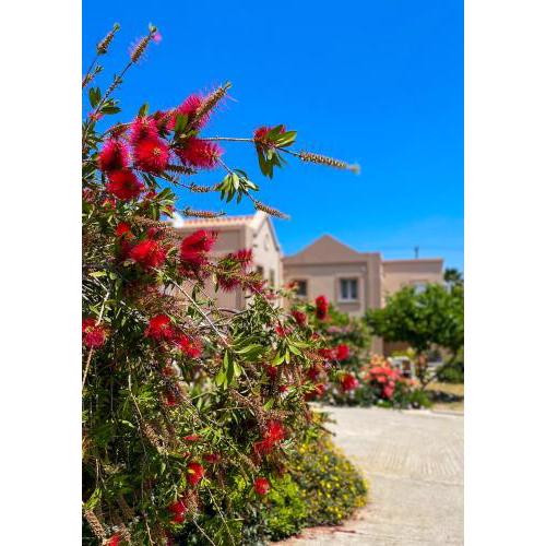 Casa Verde Houses