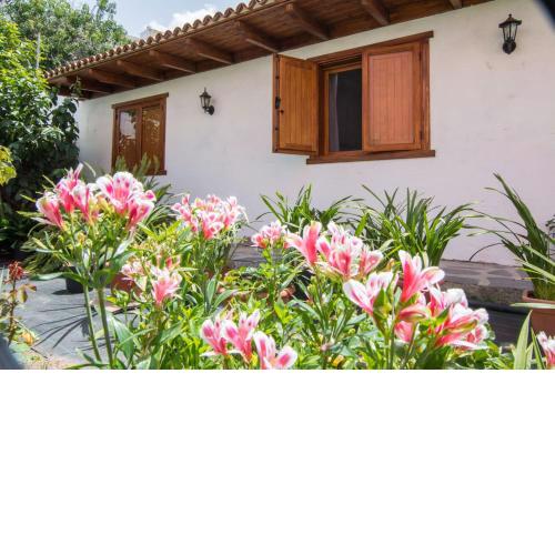 Casa Vero Mai Icod de los Vinos