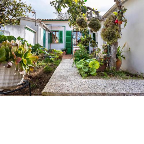 Casa Vileta