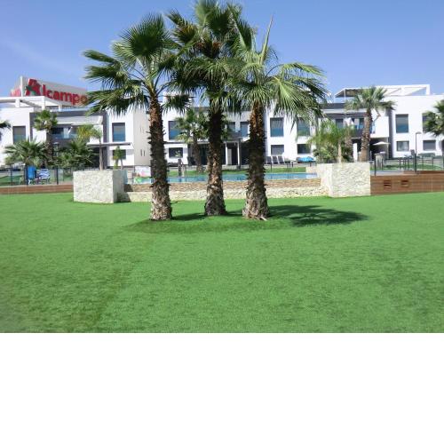 Casas Holiday - Oasis Beach