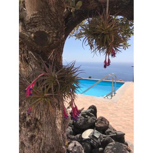 casas medio rural los piratas Ferien Haus La Palma GOOD WLAN