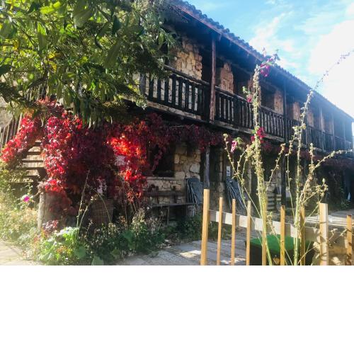 Casas Rurales Chon Alto Tajo