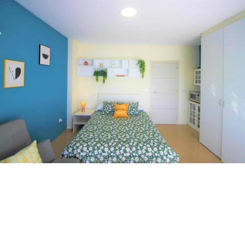 CasaTuris Studio in the Center of Alicante A107