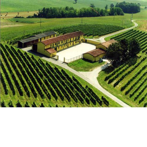 Cascina Fietta - Wine Dreams Apartments