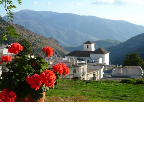 Casita Buena Vista