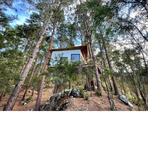Casita colgada "Can Lia"