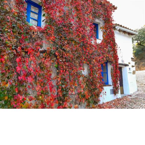 Casita Collado 1