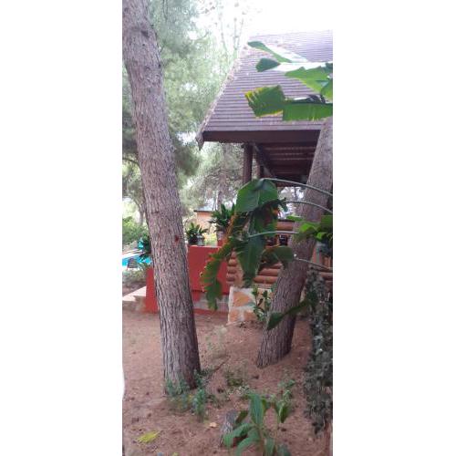 Casita de Montaña