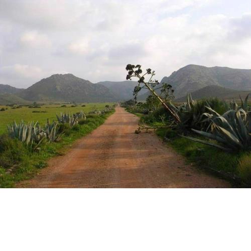 Casita Rural con Encanto