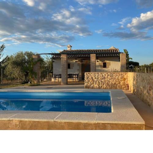 Casita rural entre olivos