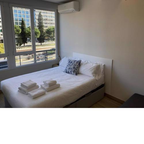 Castellana 4 torres Apartments