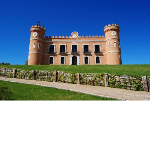 Castillo de Monte la Reina Posada Real & Bodega