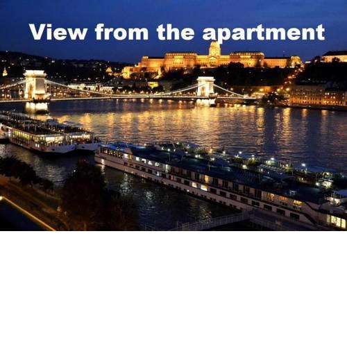 Castle and Danube Panorama