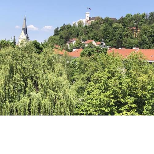 Castle View Studio