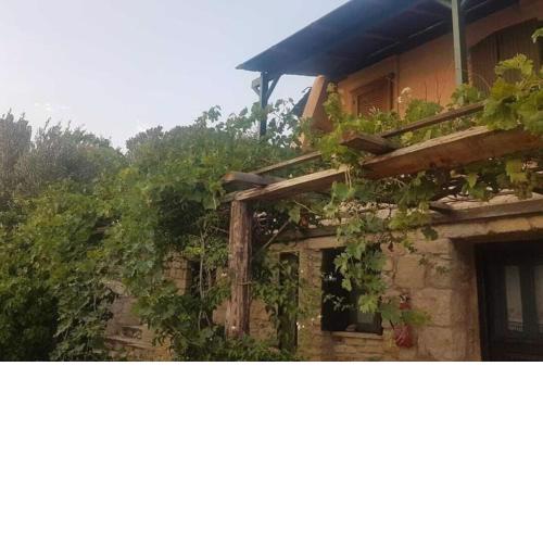 Castle Vigla Apartment Leros