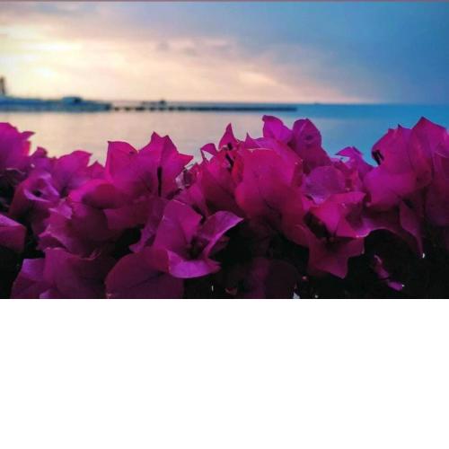 Catch Octoberfest in the Mediterranean, 10 meters from the sea