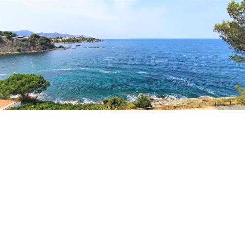CAU DEL LLOP 6