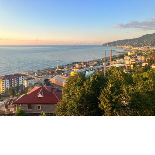 Çayelinde doğa içinde ev
