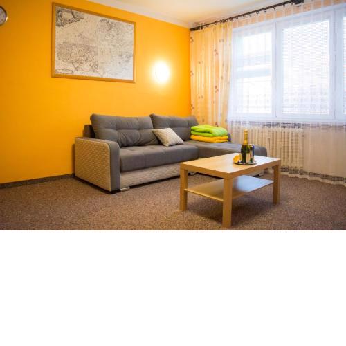 Celý byt blízko centra Ostravy