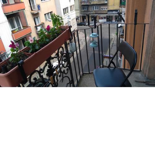 Central apartmant