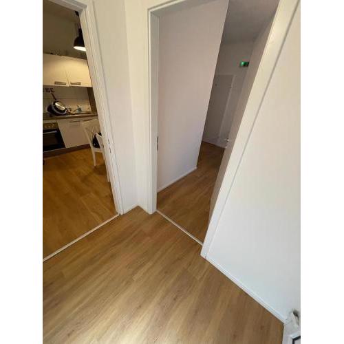 Central Apartment Lofts