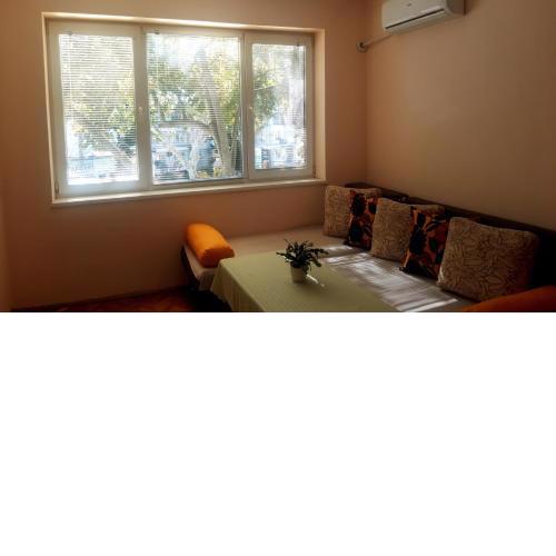Central Apartment