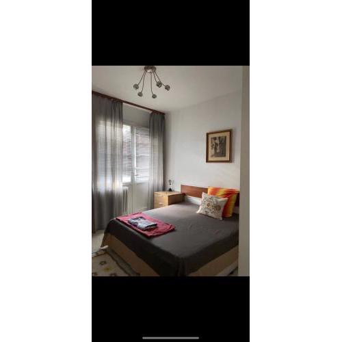 Central Apartment