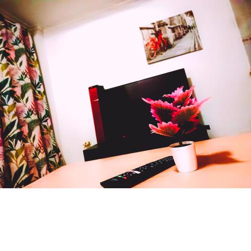 Central Apartment