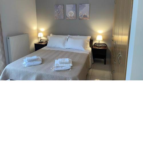 Central Comfy Home