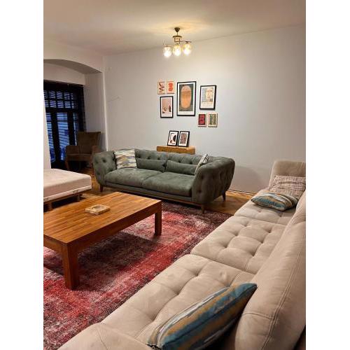 Central Location Spacious Apartment w Netflix