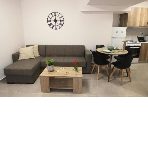 Central Luxury Flat