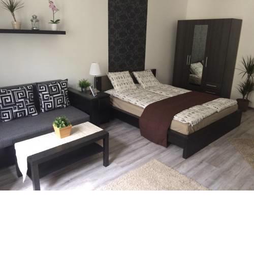 Central Luxury Residence