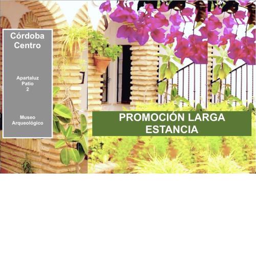 Centro Córdoba Apartaluz-2 Wifi Pk