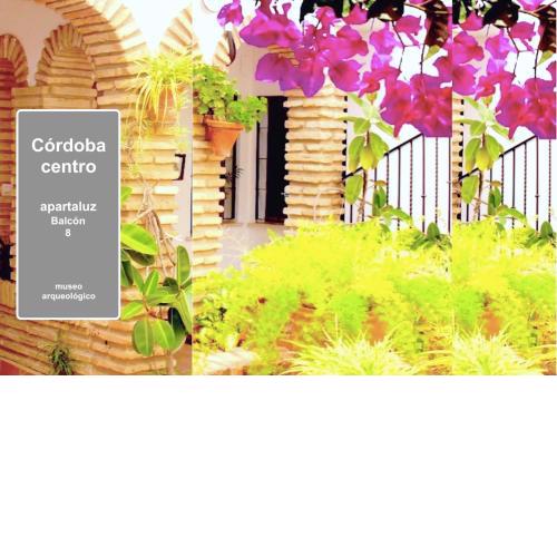 Centro Córdoba Apartaluz-8 Wifi Pk