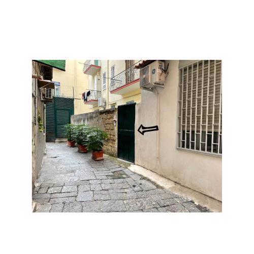 CESITREDICI