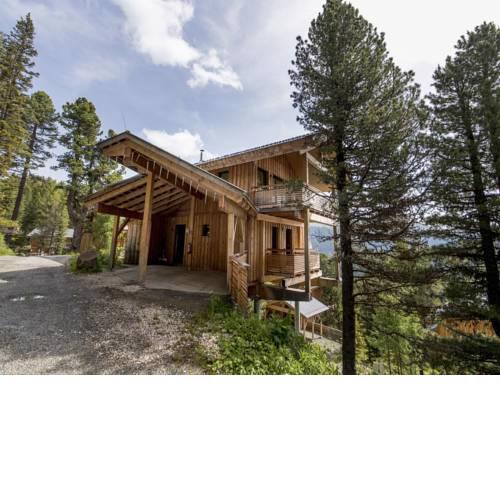 Chalet Alpenpark Turracherhöhe 1