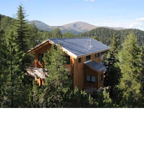 Chalet Alpenpark Turracherhöhe 3