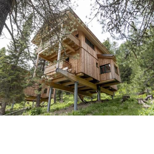 Chalet Alpenpark Turracherhöhe 4