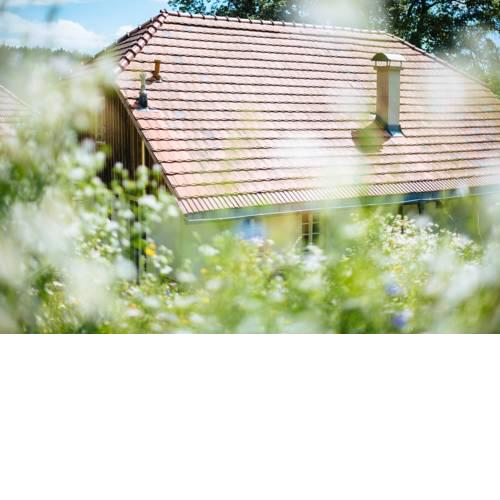 Chalet Andre Hof