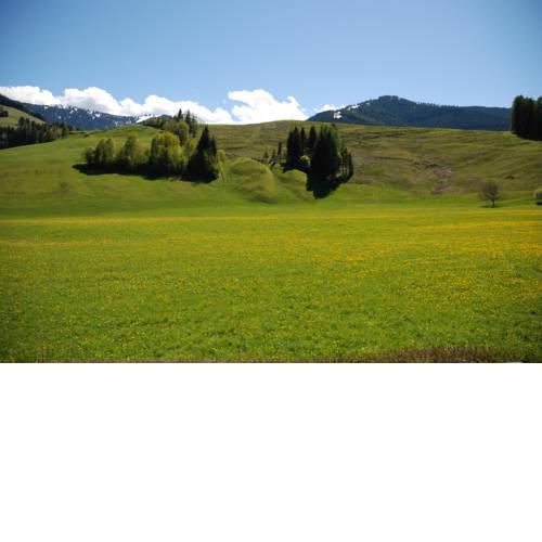 Chalet Anna