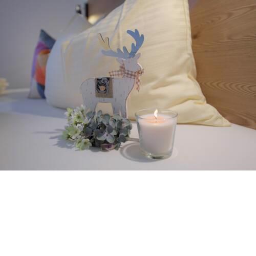 Chalet & Apartment Berger