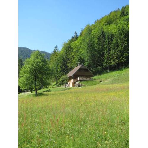 Chalet Brložnica pod Veliko planino