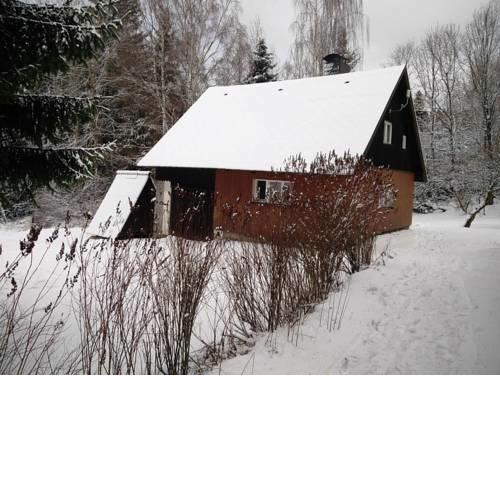 Chalet chata u lesa
