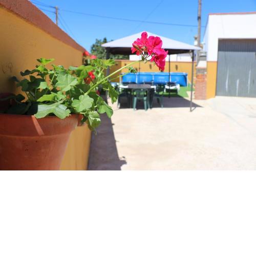 Chalet con piscina