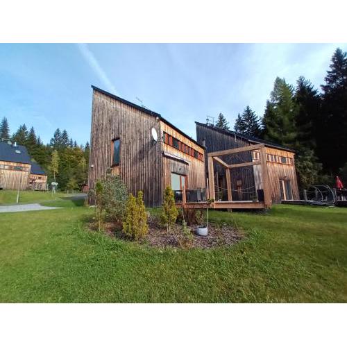 Chalet Harrachov 670 by Interhome