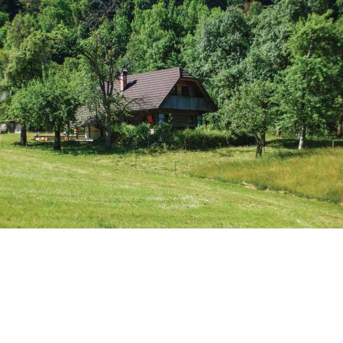 Chalet Kupljenik Near Bled Lake